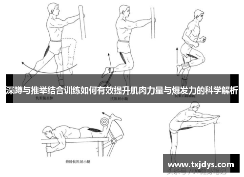 深蹲与推举结合训练如何有效提升肌肉力量与爆发力的科学解析